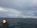 2014-05-08 17.50.31