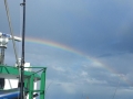 2014-05-08 17.52.34
