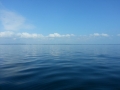 2014-06-01 09.40.23