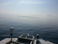 2014-06-01 09.40.36