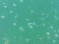 2014-06-15 07.50.07