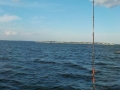 DSCN0053