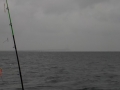 DSCN0096