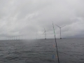 DSCN0106