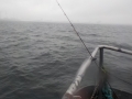 DSCN0115