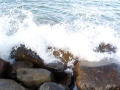 DSCN0193