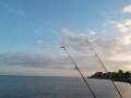 DSCN0198