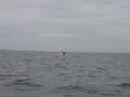 DSCN0202
