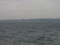 DSCN0230