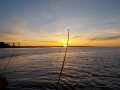 DSCN0282