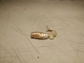 2015-12-26 12.37.51
