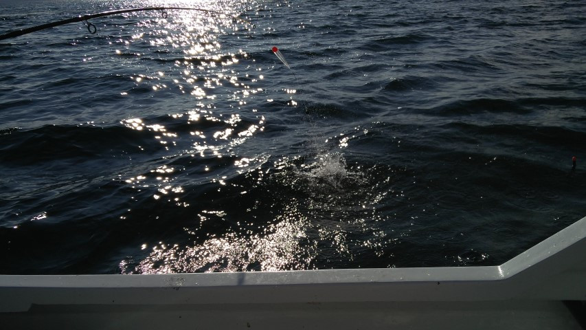 2017-09-17-15.57.54-2
