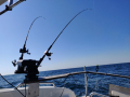 IMG_20190419_111325