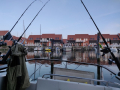 IMG_20190420_060332