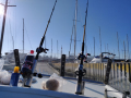 IMG_20190422_085255
