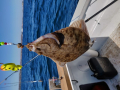 IMG_20190422_140932