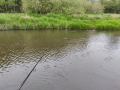 IMG_20190517_092555