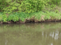 IMG_20190517_141145