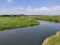 IMG_20190518_134356