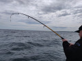 IMG_20190602_131413
