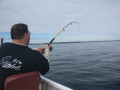 IMG_20190602_131415