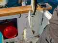 IMG_20190723_185157