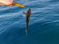 IMG_20190723_185646