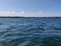 IMG_20190803_134704