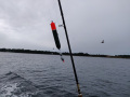 IMG_20190908_085310