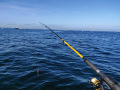 IMG_20190921_135433
