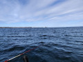 IMG_20200418_124647