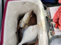 IMG_20200418_124700