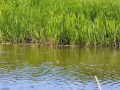 IMG_20200530_134505