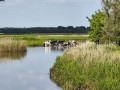 IMG_20200530_165804