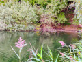 IMG_20200913_065012