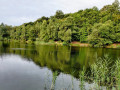 IMG_20200913_072342