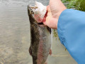 IMG_20200913_085647