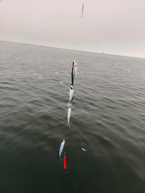 IMG_20200920_082801