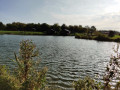 IMG_20201003_100715