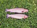 IMG_20201003_140122