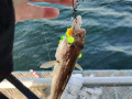 IMG_20201018_085833
