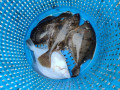 IMG_20201018_094218