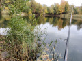 IMG_20201024_101515