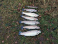 IMG_20201202_153649