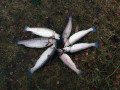 IMG_20201202_155816