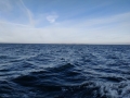 IMG_20190119_105900