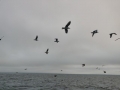 IMG_20190119_153030
