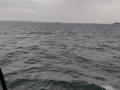 IMG_20190210_115449