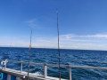 IMG_20190710_124414