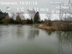 140119_poppel0